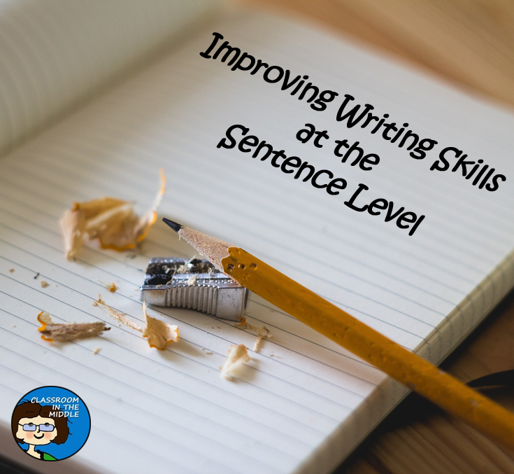 Improving Writing Skills at the Sentence Level