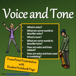 Voice and Tone ppt